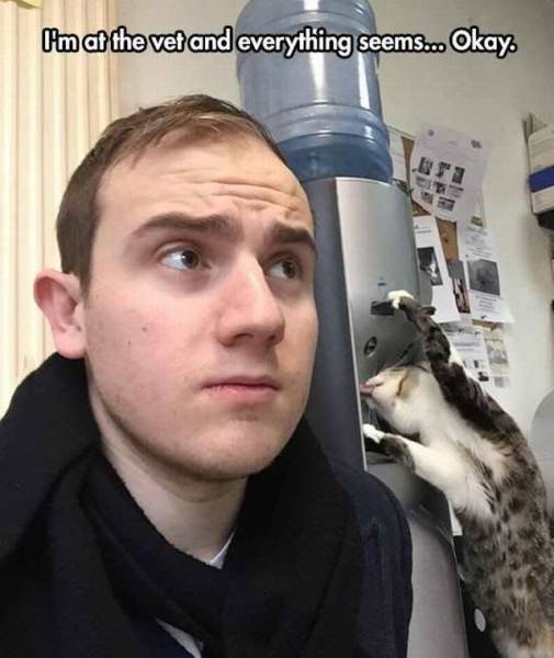 Daily Picdump