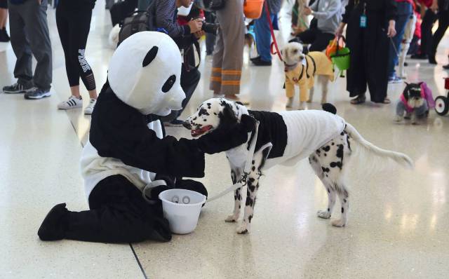 Daily Picdump