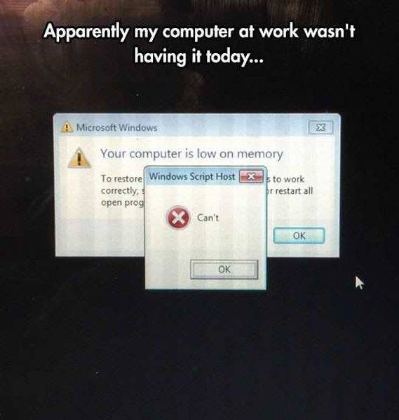 Daily Picdump