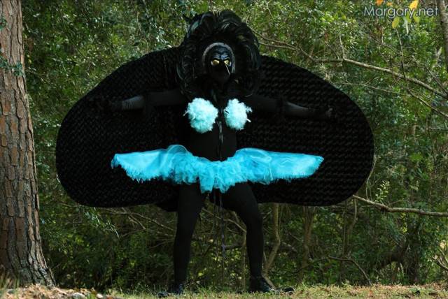 Daily Picdump