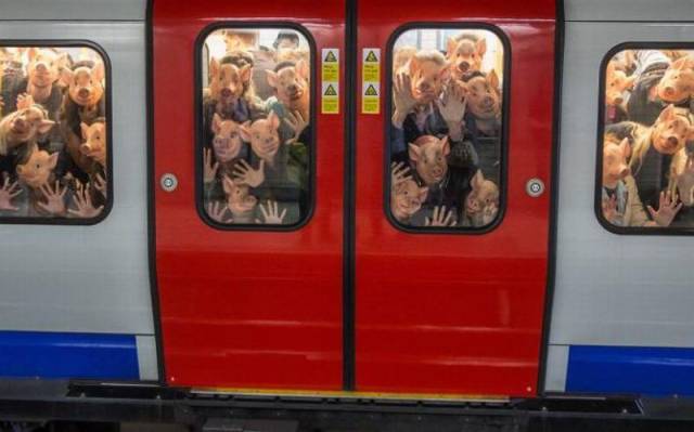 Daily Picdump