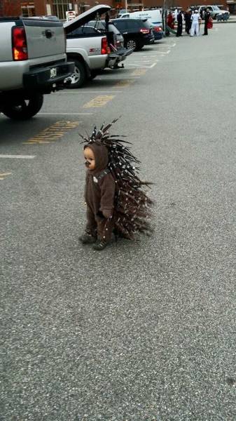 Content Image