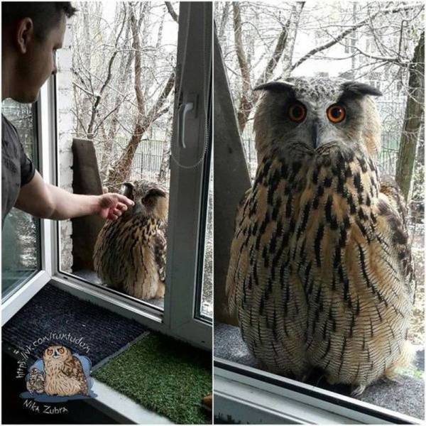 Daily Picdump