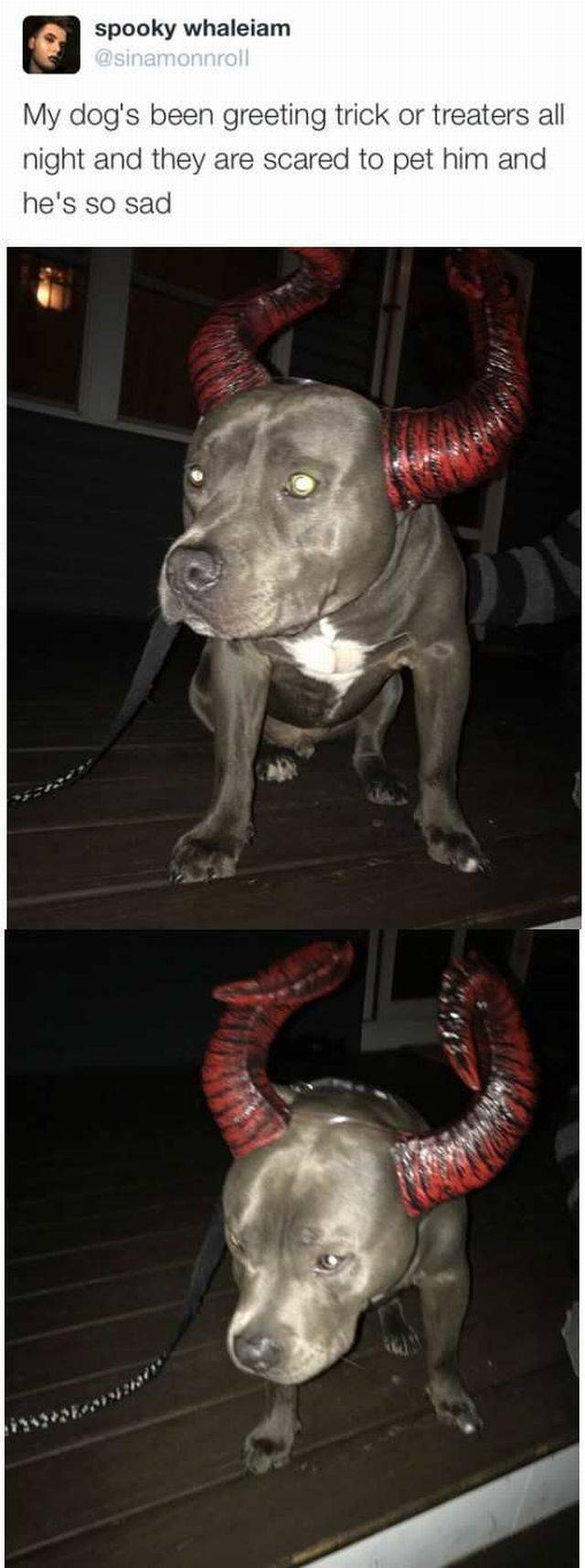 Content Image