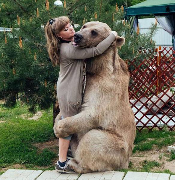 Daily Picdump
