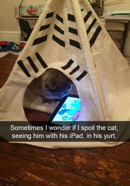 Daily Picdump [WEEKEND EDITION]