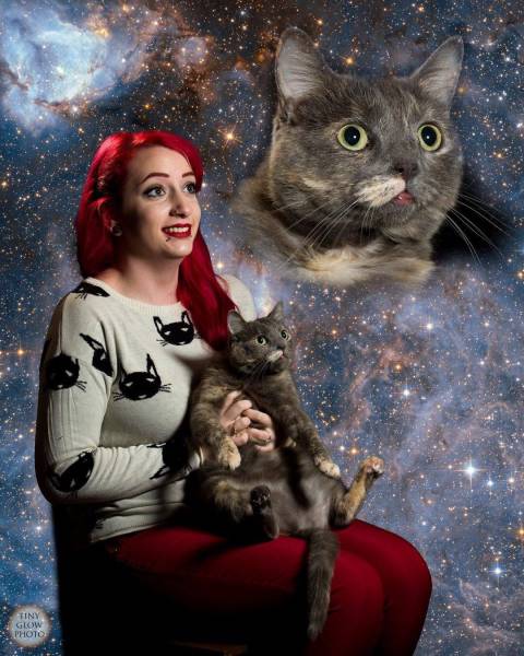 Content Image