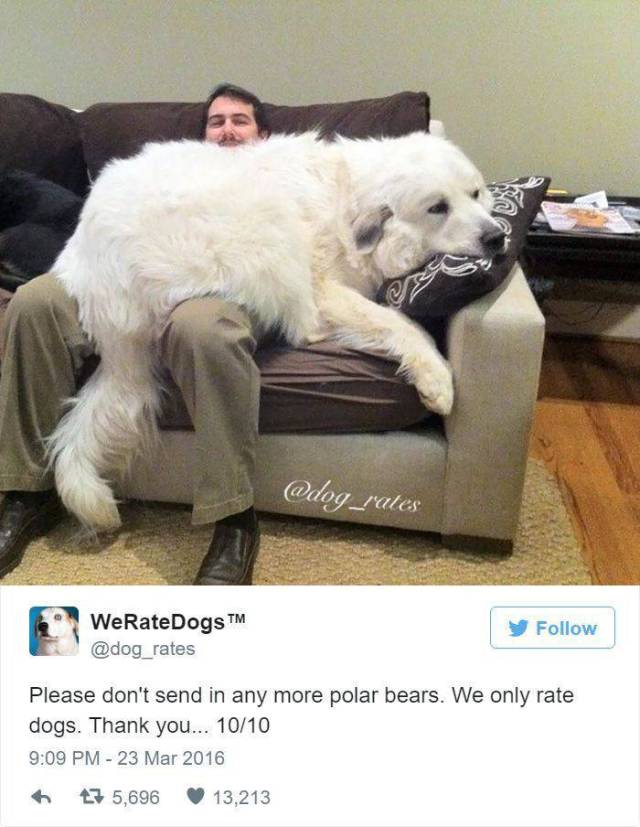 Daily Picdump [WEEKEND EDITION]