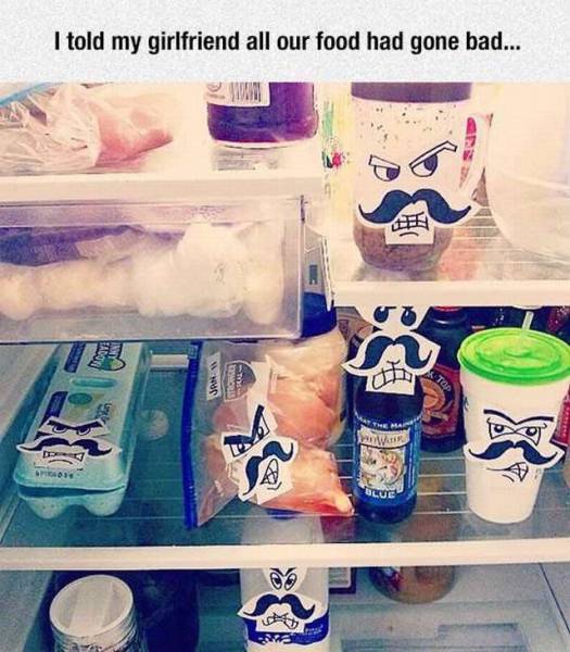 Daily Picdump