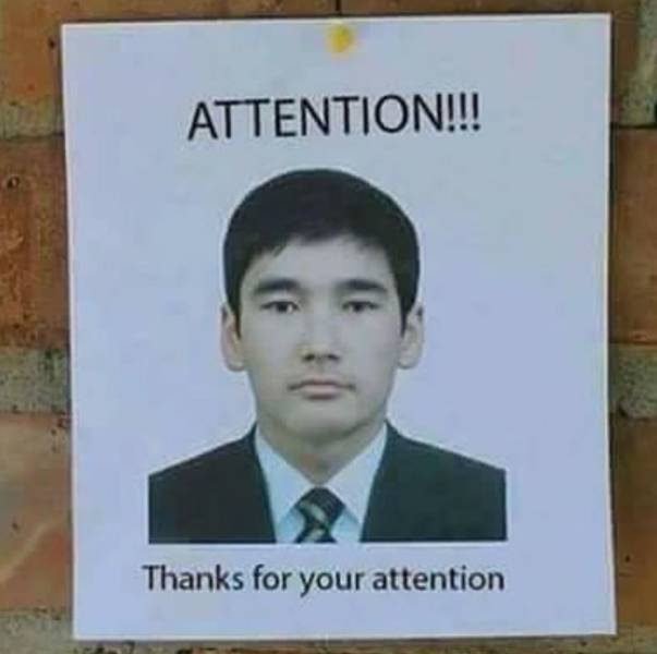 Daily Picdump