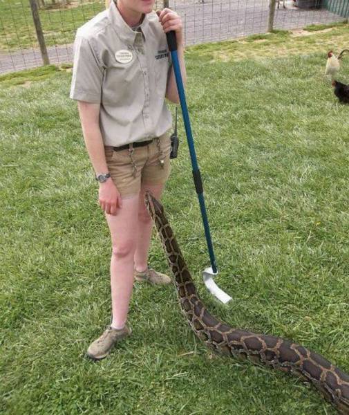 Content Image