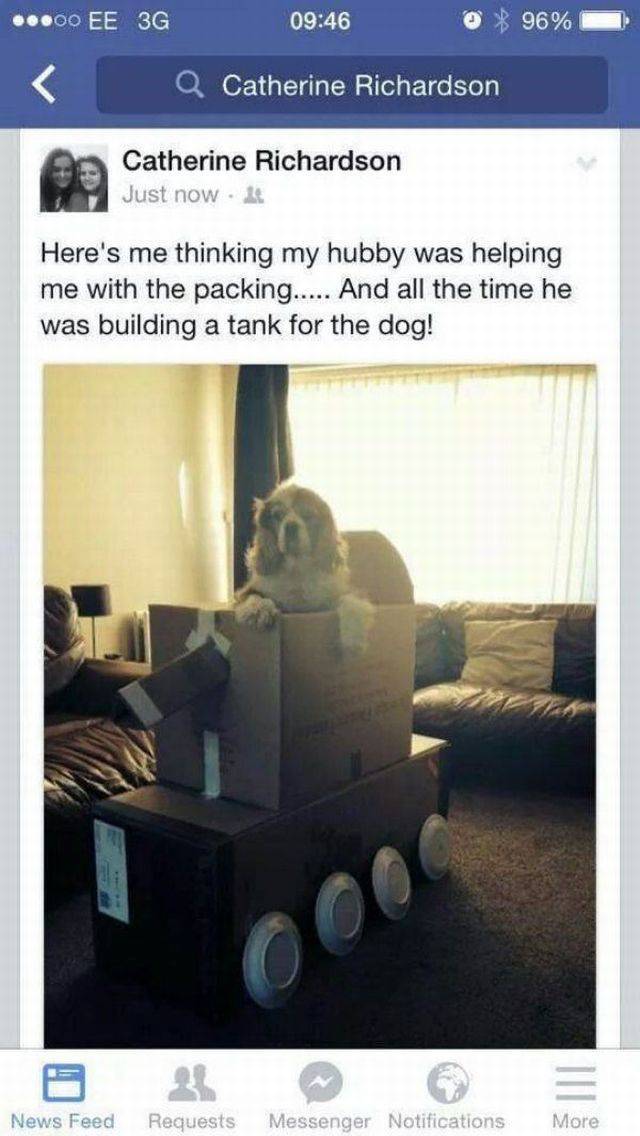 Daily Picdump