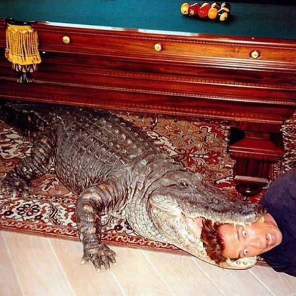 Daily Picdump