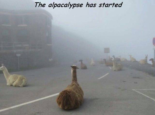 Daily Picdump