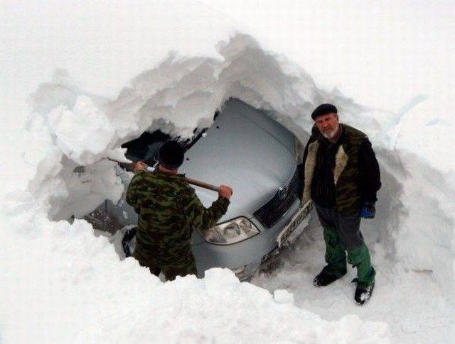Daily Picdump