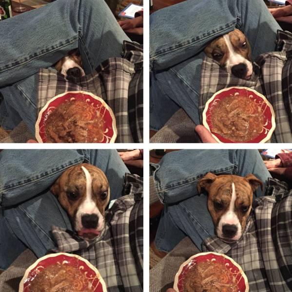 Daily Picdump