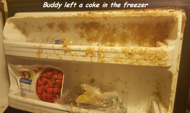Daily Picdump