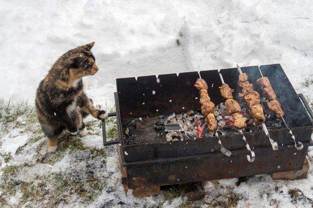 Daily Picdump