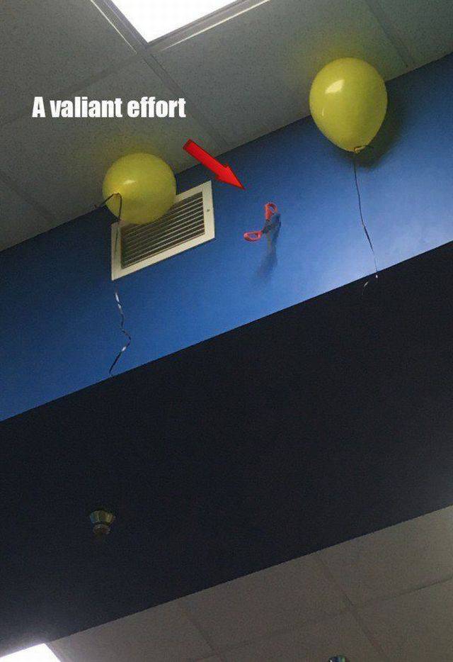 Daily Picdump