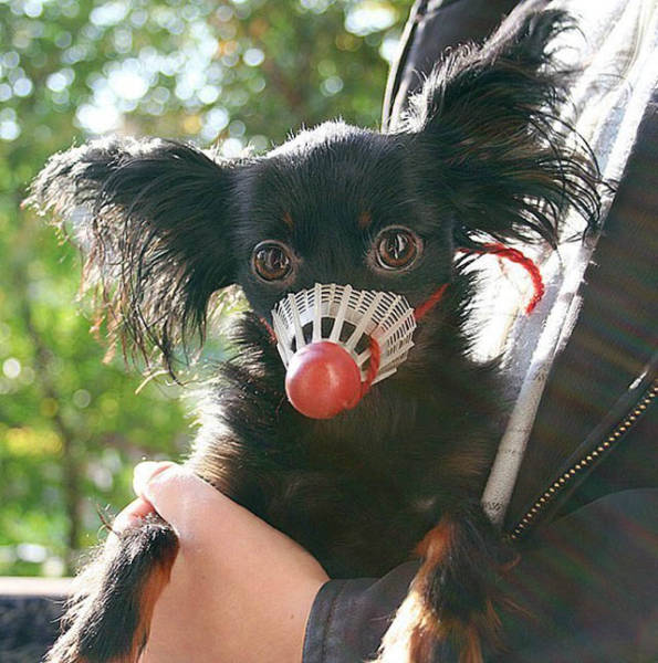 Morning Picdump