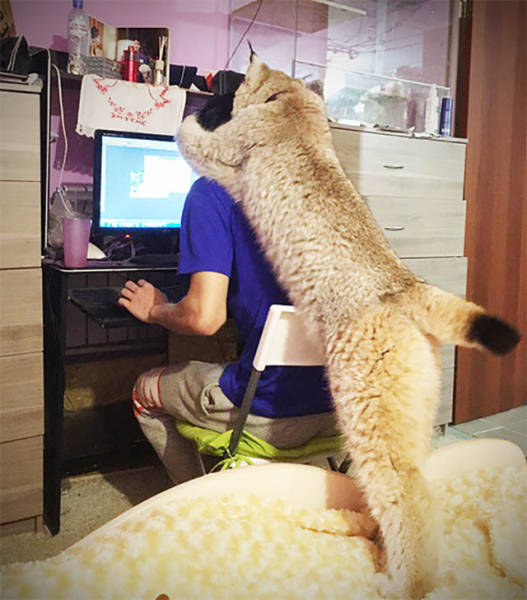 Morning Picdump
