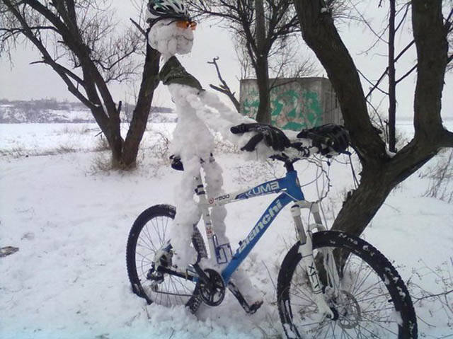 Morning Picdump