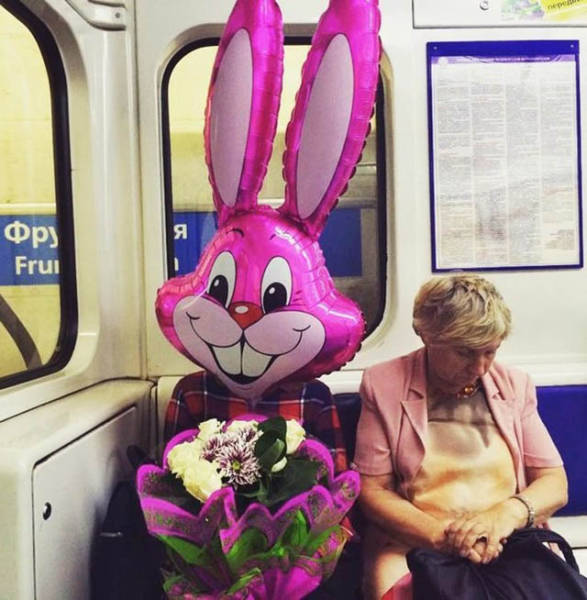 Morning Picdump