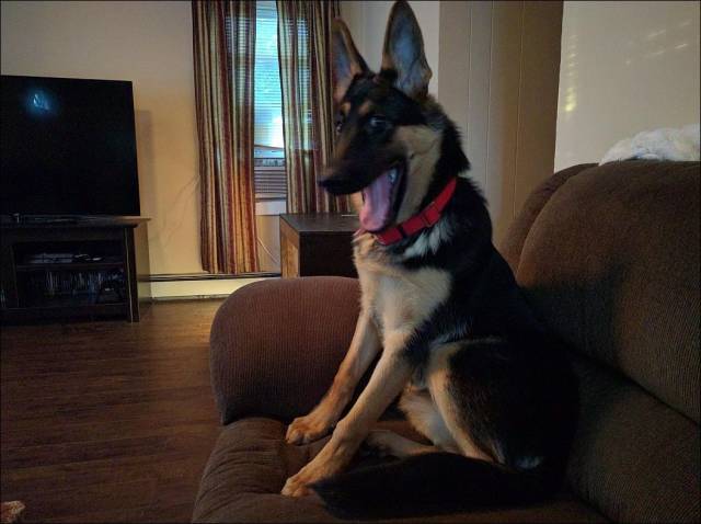 Daily Picdump