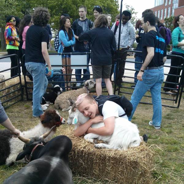 Daily Picdump
