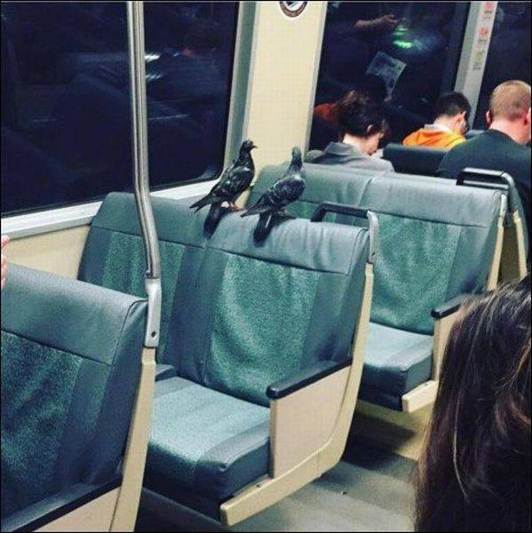 Daily Picdump