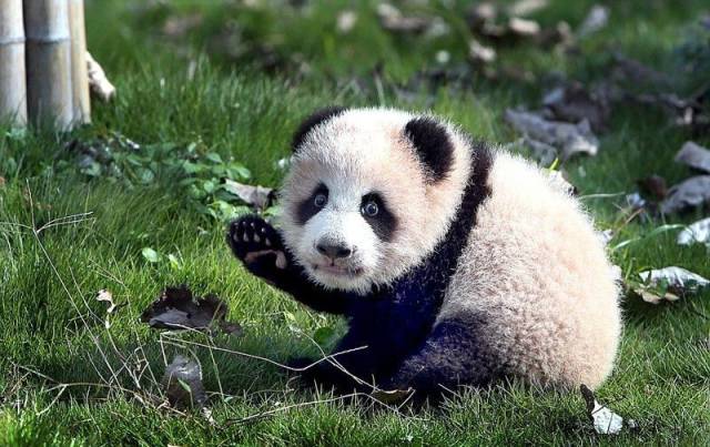 Daily Picdump