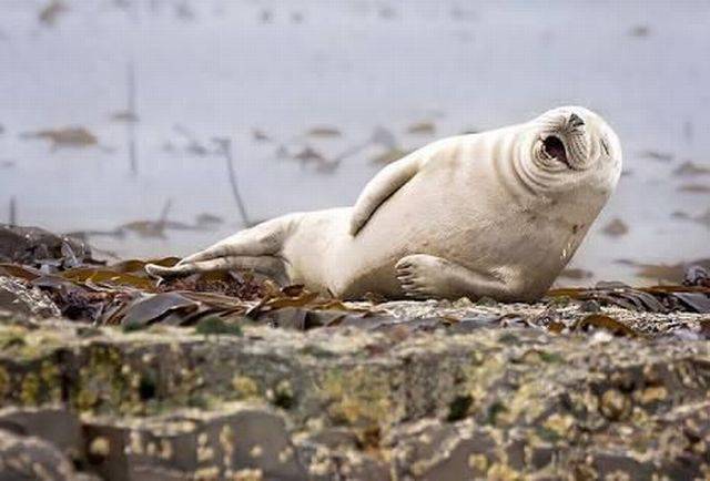 Daily Picdump