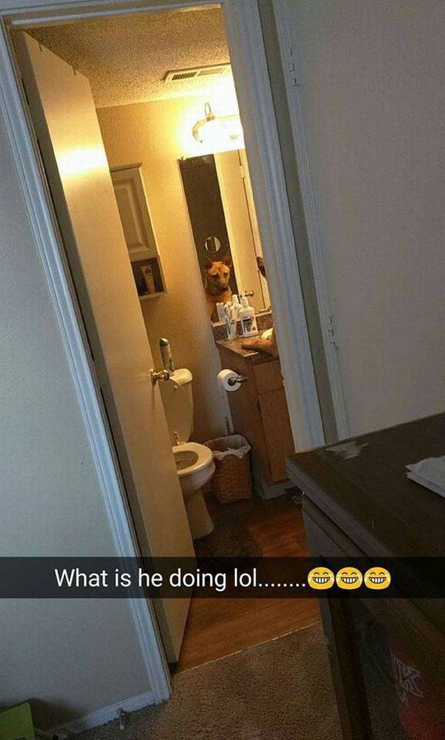 Daily Picdump