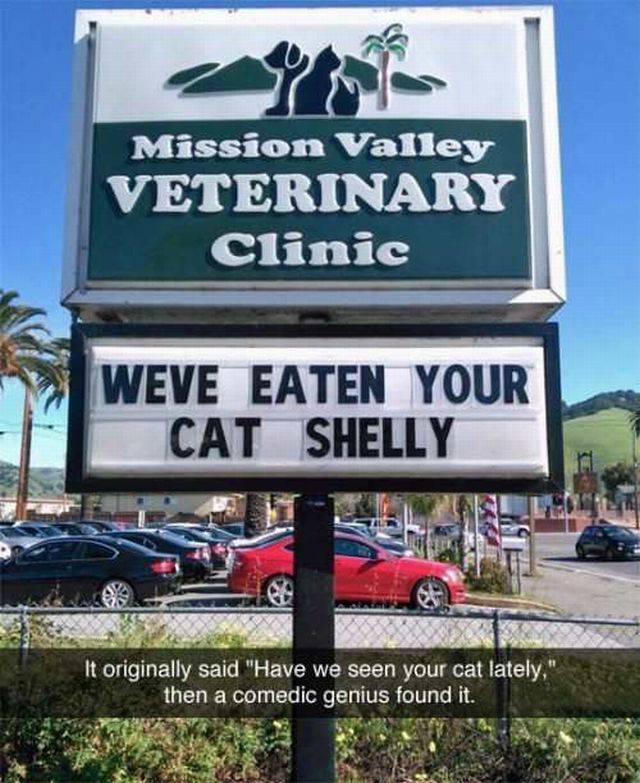 Daily Picdump