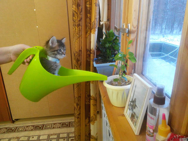 Morning Picdump