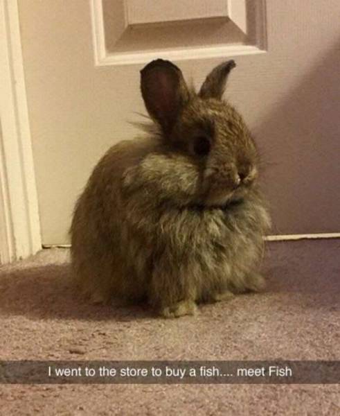 Daily Picdump