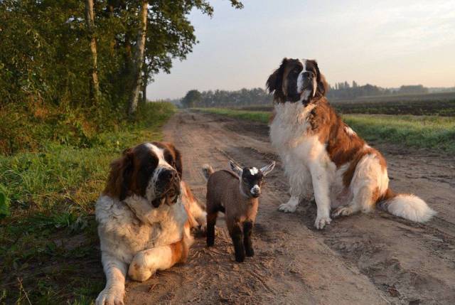 Daily Picdump