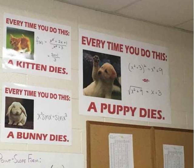 Daily Picdump