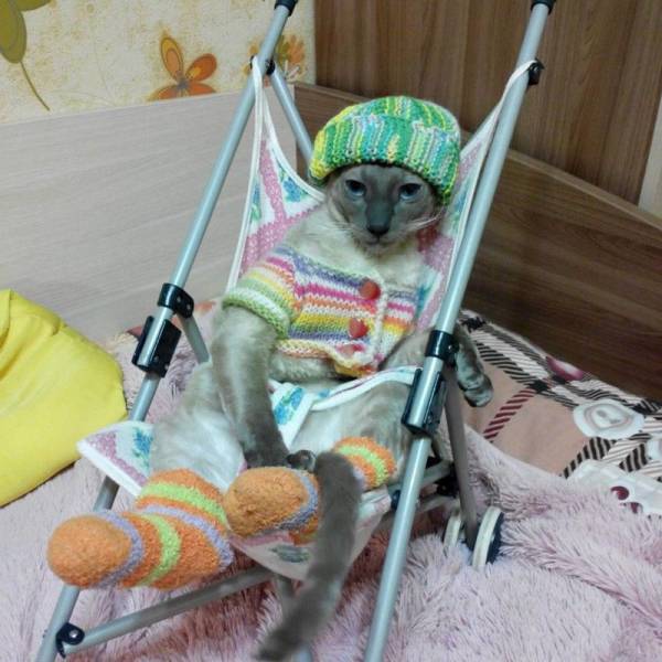 Daily Picdump
