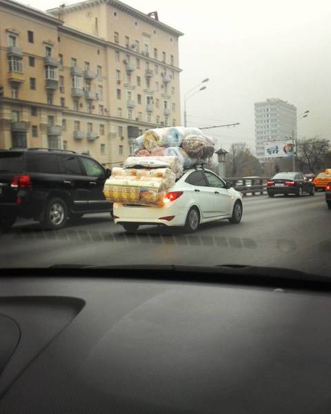 Daily Picdump
