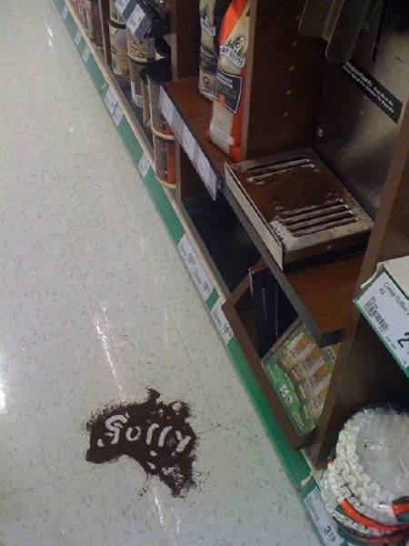 Content Image
