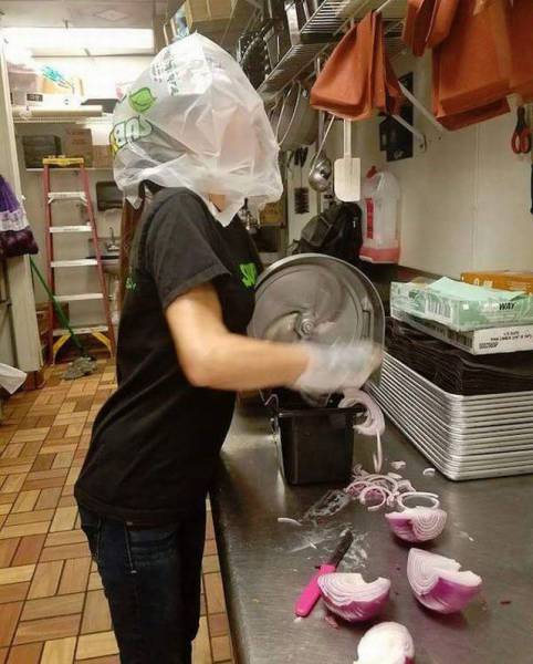 Daily Picdump