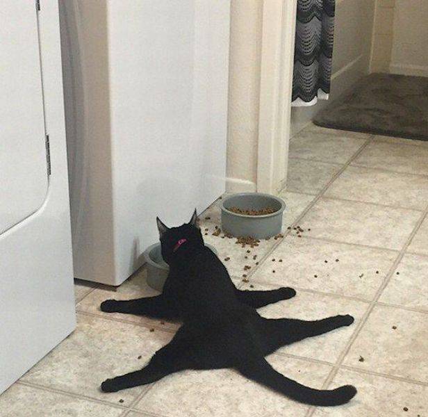 Content Image