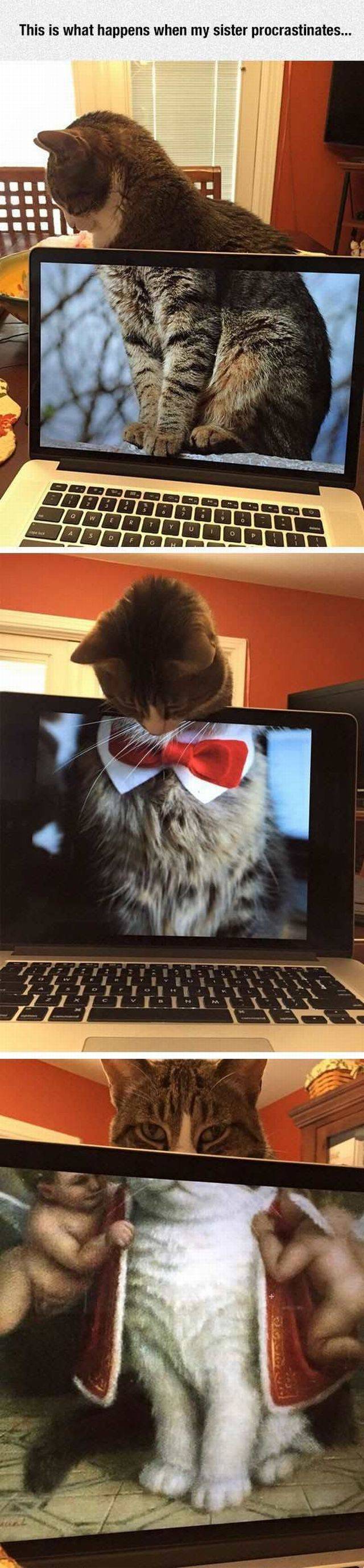 Content Image