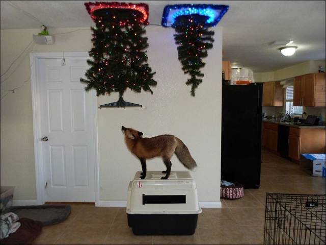 Daily Picdump
