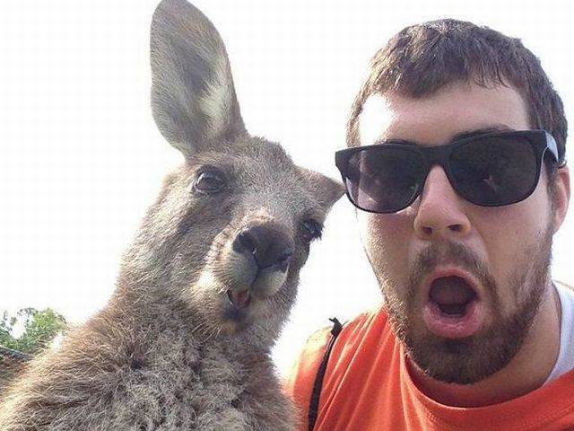 Daily Picdump
