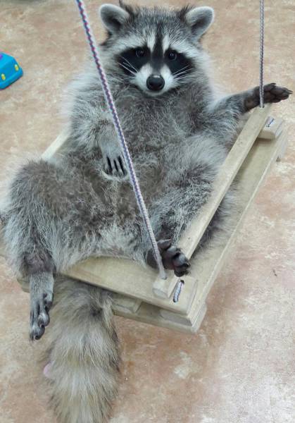 Daily Picdump