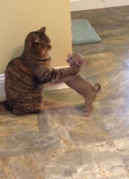 Daily Picdump