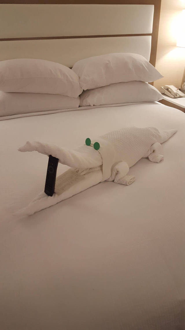 Morning Picdump