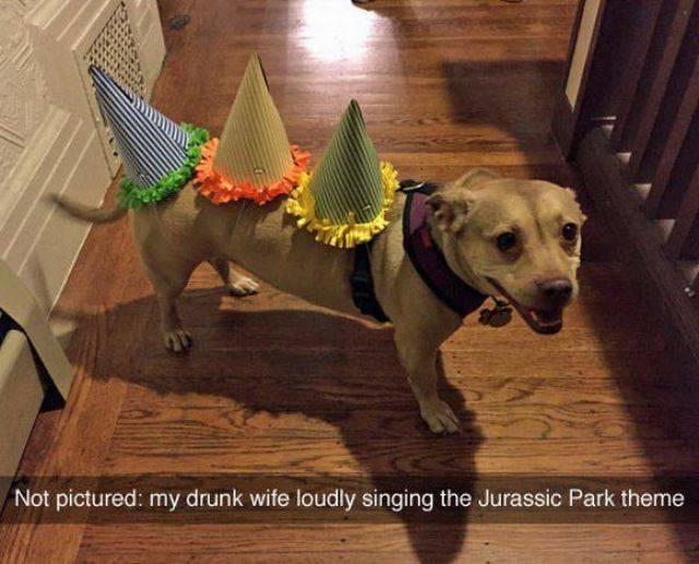 Daily Picdump